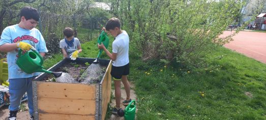 Fotografie img-20240410-wa0008_original.jpg