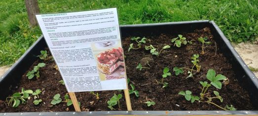 Fotografie img-20240410-wa0010_original.jpg