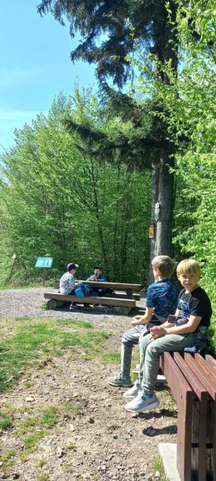 Fotografie img-20240414-wa0000_original.jpg