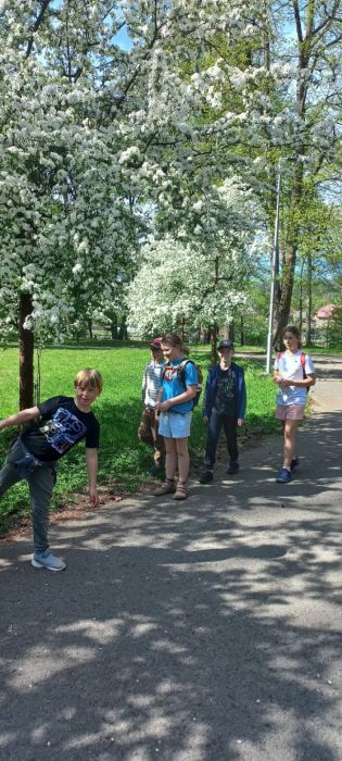 Fotografie img-20240414-wa0001_original.jpg