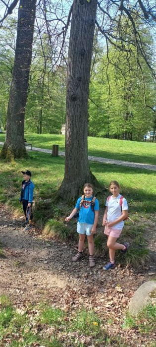 Fotografie img-20240414-wa0005_original.jpg