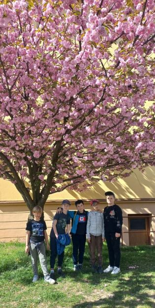 Fotografie img-20240414-wa0006_original.jpg