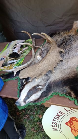 Fotografie img-20240501-wa0009-1714590462_original.jpg