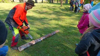 Fotografie img-20240501-wa0020-1714590443_original.jpg