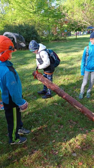 Fotografie img-20240501-wa0022-1714590452_original.jpg