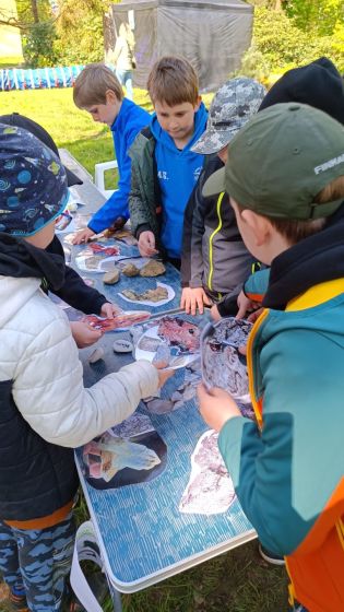 Fotografie img-20240501-wa0025-1714590448_original.jpg