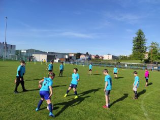 Fotografie img_20240429_082927_original.jpg