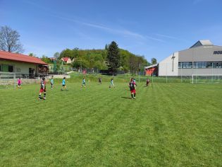 Fotografie img_20240429_105144_original.jpg