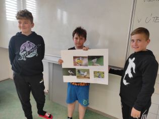 Fotografie img_20240502_133303_original.jpg