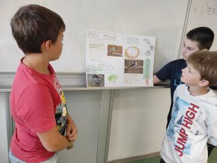 Fotografie img_20240502_133842_original.jpg