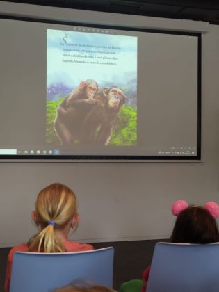 Fotografie img-20240508-wa0007_original.jpg