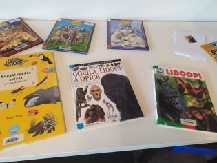 Fotografie img-20240508-wa0008_original.jpg