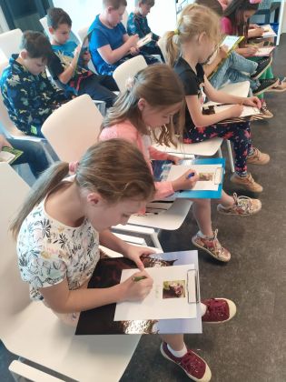 Fotografie img-20240508-wa0009_original.jpg