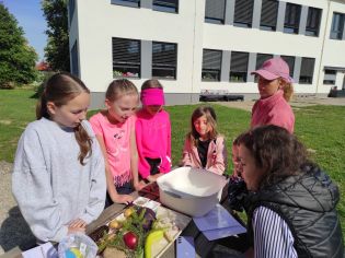 Fotografie img_20240510_090635_original.jpg