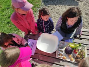 Fotografie img_20240510_090658_original.jpg