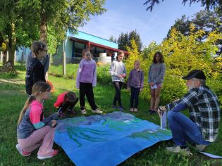 Fotografie img_20240510_091312_original.jpg