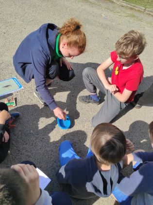 Fotografie img_20240510_091528_original.jpg