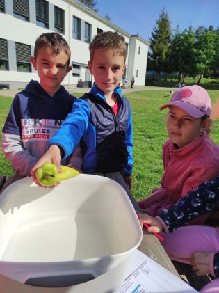 Fotografie img_20240510_091741_original.jpg