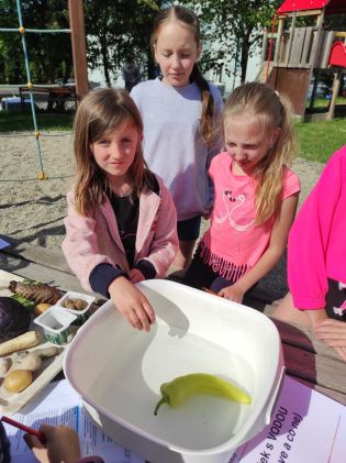 Fotografie img_20240510_091835_original.jpg