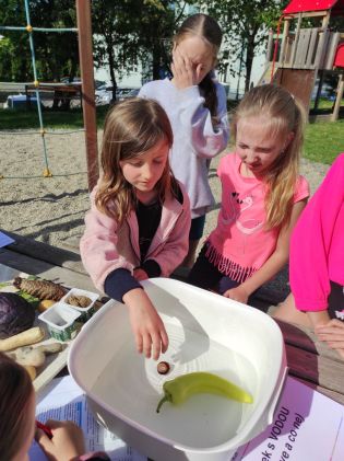 Fotografie img_20240510_091838_original.jpg