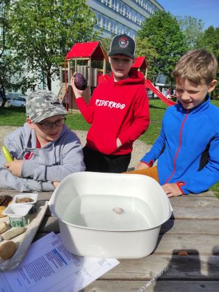 Fotografie img_20240510_092238_original.jpg