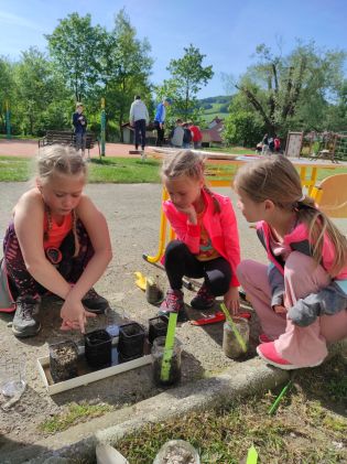 Fotografie img_20240510_093208_original.jpg