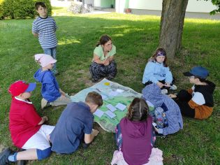 Fotografie img_20240510_093741_original.jpg