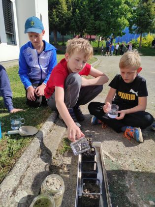 Fotografie img_20240510_093945_original.jpg