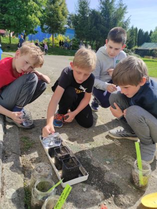 Fotografie img_20240510_093959_original.jpg