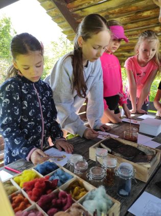 Fotografie img_20240510_095041_original.jpg