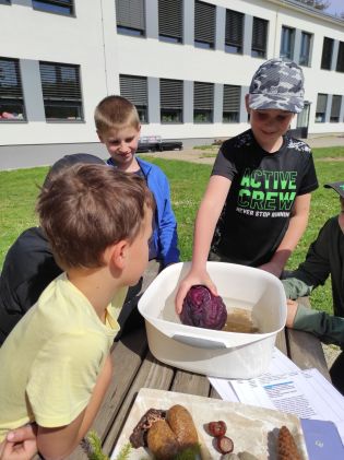 Fotografie img_20240510_102807_original.jpg