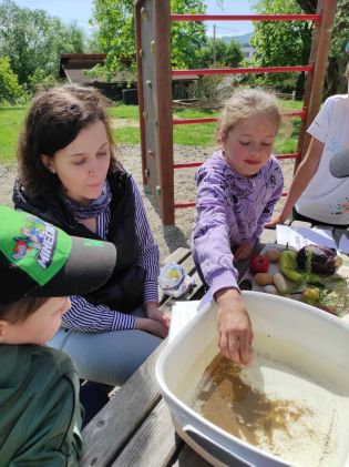 Fotografie img_20240510_102921_original.jpg