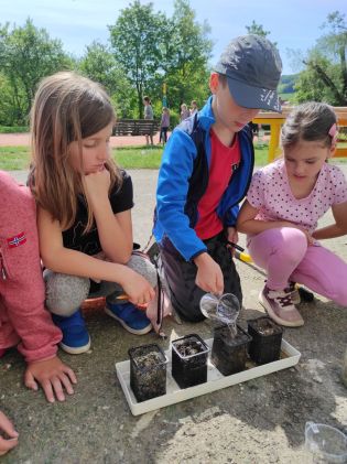 Fotografie img_20240510_105546_original.jpg