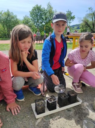 Fotografie img_20240510_105551_original.jpg