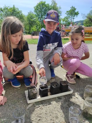 Fotografie img_20240510_105635_original.jpg