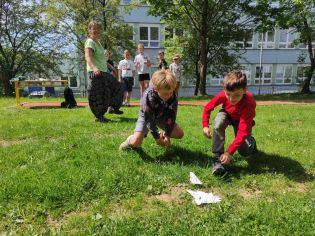 Fotografie img_20240510_110759_original.jpg