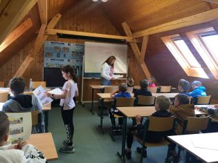 Fotografie img-20240515-wa0001_original.jpg