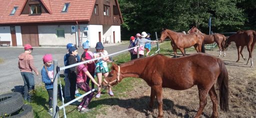 Fotografie img-20240514-wa0006_original.jpg