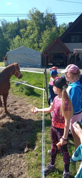 Fotografie img-20240514-wa0007_original.jpg