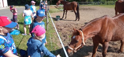 Fotografie img-20240514-wa0013_original.jpg