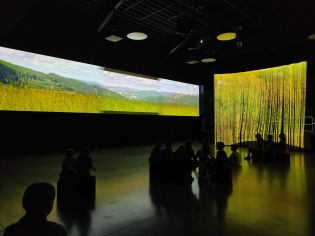 Fotografie img_20240516_100644_original.jpg