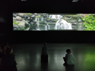 Fotografie img_20240516_100807_original.jpg