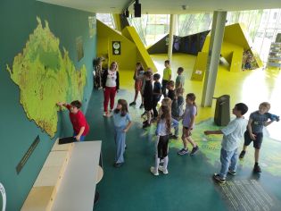 Fotografie img_20240516_102846_original.jpg