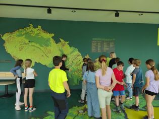 Fotografie img_20240516_102949_original.jpg