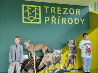 Fotografie img_20240516_105731_original.jpg