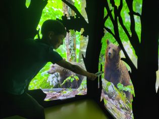 Fotografie img_20240516_110151_original.jpg