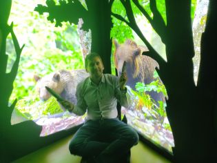 Fotografie img_20240516_110242_original.jpg