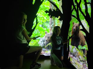 Fotografie img_20240516_110417_original.jpg