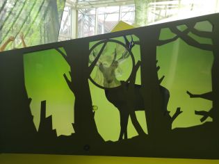 Fotografie img_20240516_110703_original.jpg