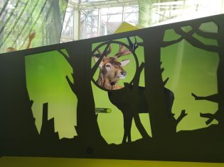 Fotografie img_20240516_110704_original.jpg